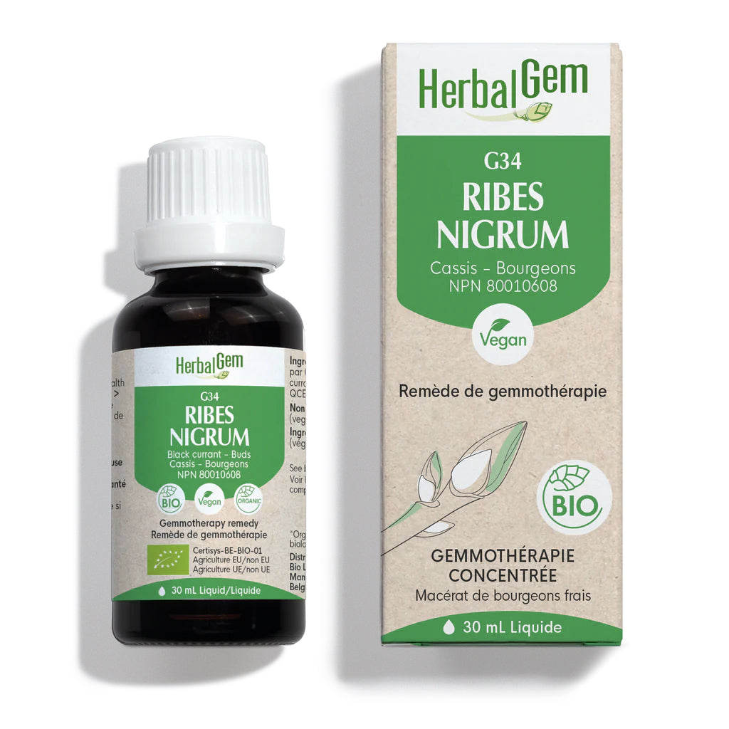 G34 - Ribes Nigrum - Herbalgem - 30ml